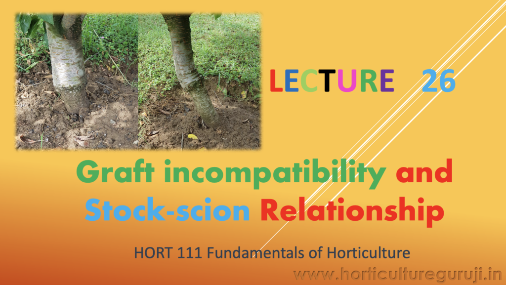 Graft incompatibility and Stock-scion Relationship PPT